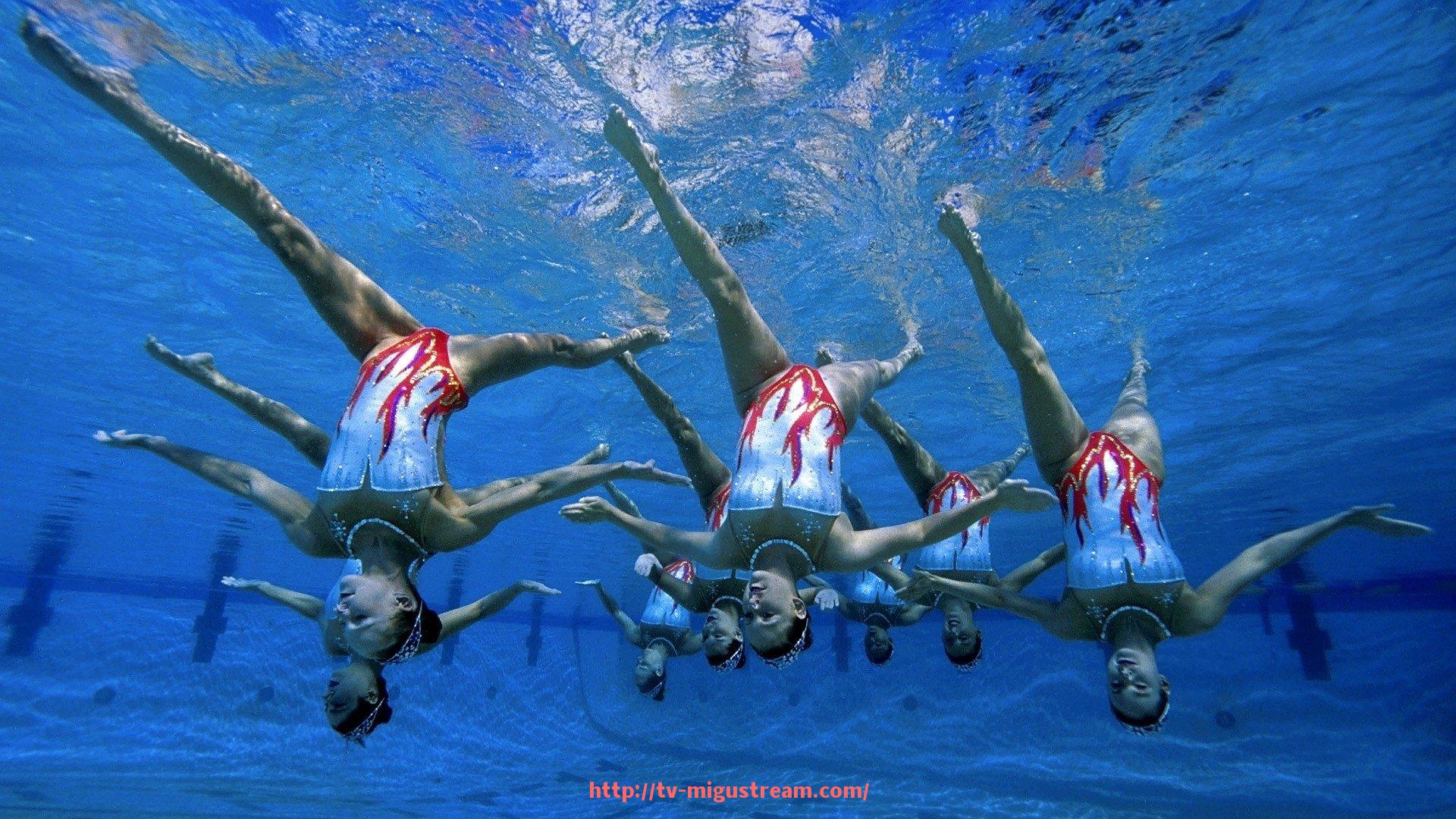 咪咕体育直播-深圳佳兆业在中超联赛中的冠军记录回顾