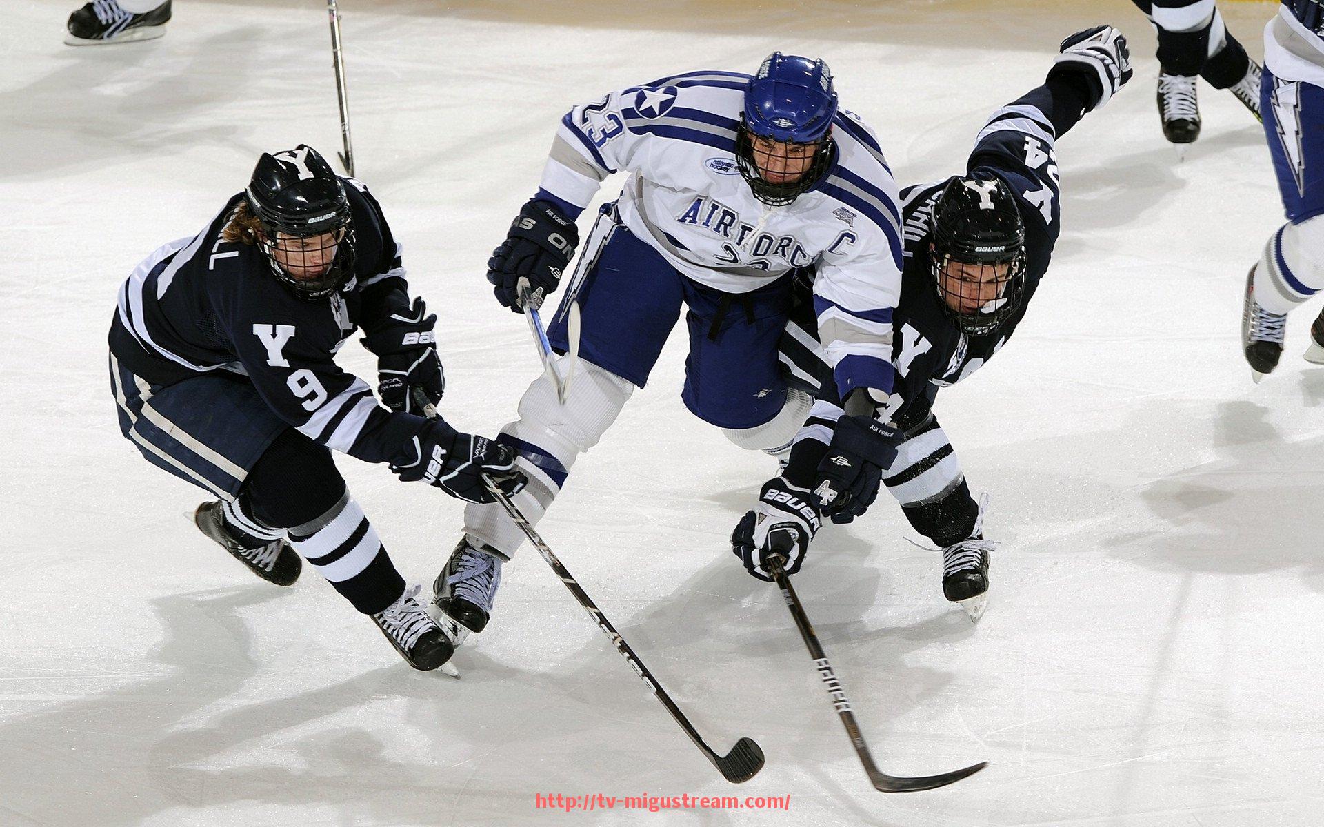 咪咕体育直播-我只想留在德甲球队的英语表达及相关用法